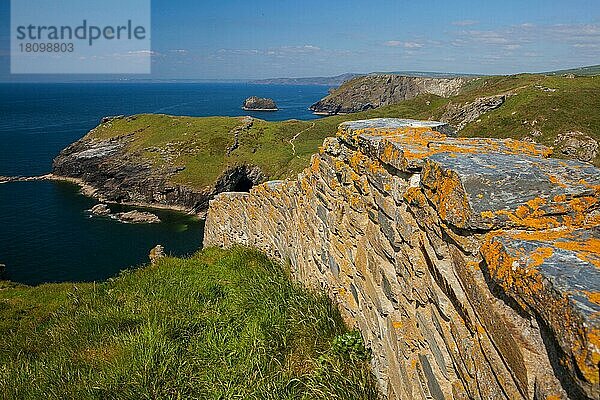 Schloss  Tintagel  Cornwall  England  Großbritannien  Europa