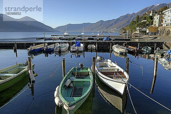 Alter Hafen  Ascona  Lago Maggiore  Tessin  Ticino  Langensee  Schweiz  Europa