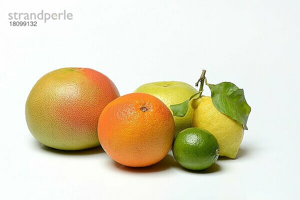 Verschiedene Zitrusfrüchte  Pomelo  rote Grapefruit  Sweetie (Kreuzung zwischen Pampelmuse und Grapefruit  auch Oroblanco)  Limette  Zitrone