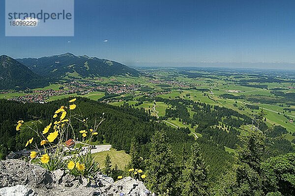 Pfronten  Allgäu  Bayern  Deutschland  Europa