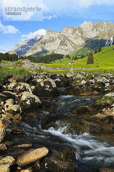 Bergbach  Alpsteinmassiv mit Säntis  Appenzell  Schweiz  Europa