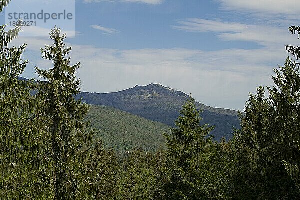 Blick zum Arber  Nationalpark Bayerischer Wald  Deutschland  Europa