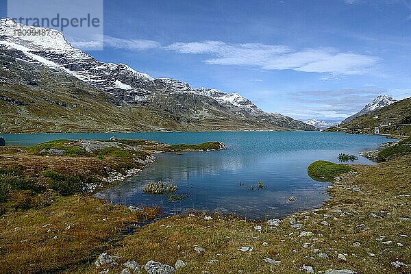 Lago Bianco am Bernina-Pass  Bernina  Oberengadin  Engadin  Schweiz  Europa