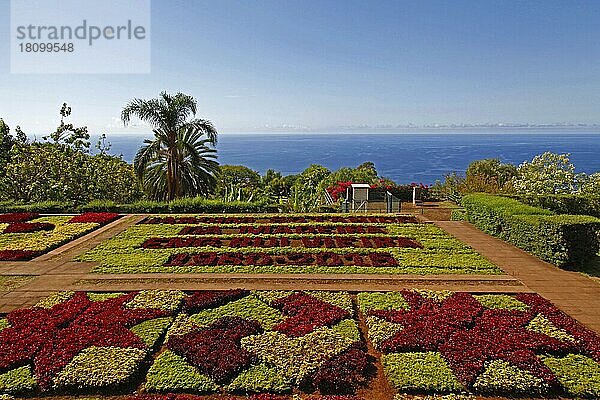 Botanischer Garten  Jardim Botanico  Funchal  Insel Madeira  Portugal  Europa