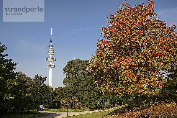 Hamburger Fernsehturm  Heinrich-Hertz-Turm  öffentlicher Park Planten un Blomen  Hamburg  Deutschland  Europa
