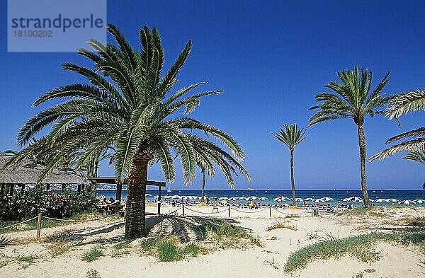 Playa d´en Bossa  Ibiza  Balearen  Spanien  Europa