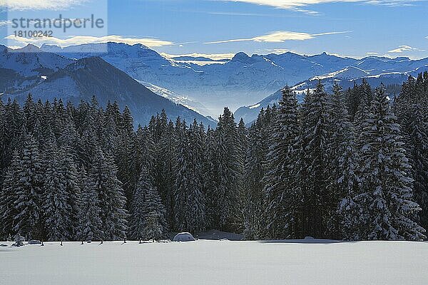 Aussicht vom Jaunpass  Berner Oberland  Schweiz  Europa