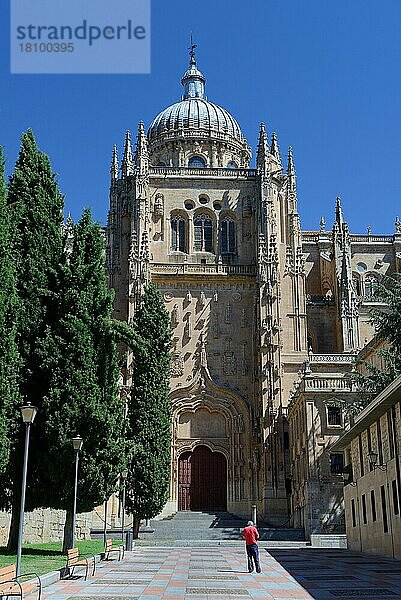 Kathedrale von Salamanca  Catedral Vieja de Santa Maria del Asedio  Spanien  Europa