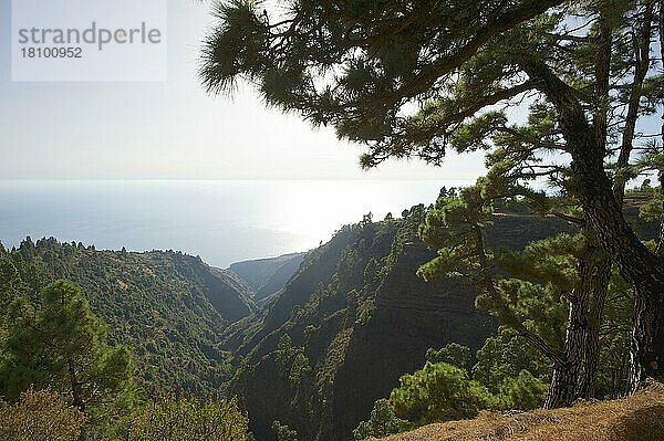 Westküste  La Palma  Kanarische Inseln  Spanien  Europa