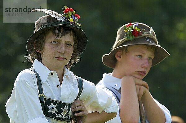 Viehscheid  Bad Hindelang  Allgäu  Bayern  Deutschland  Europa