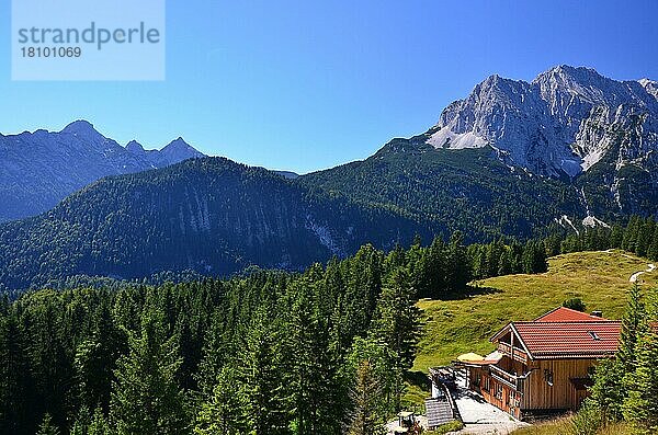 Sommer  Almhütte  Bergwald  Bayern  Oberbayern  Isartal  Deutschland  Europa