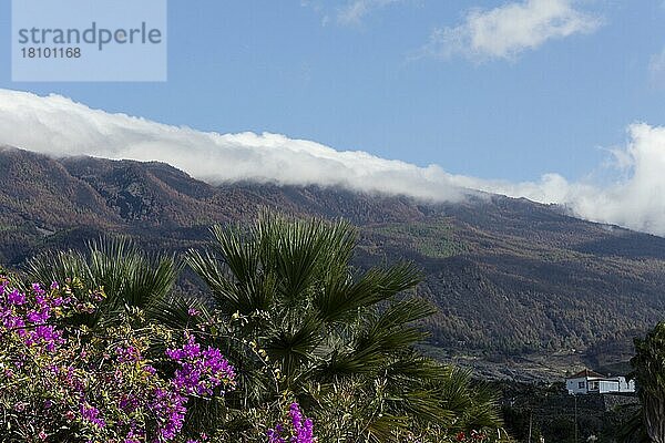 Wolken über Cumbre vieja  Los Llanos de Aridane  La Palma  Spanien  Europa