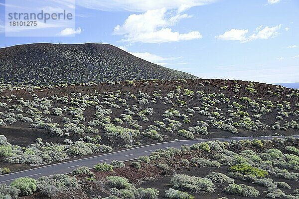 Straße  El Hierro  Kanarische Inseln  Spanien  Europa