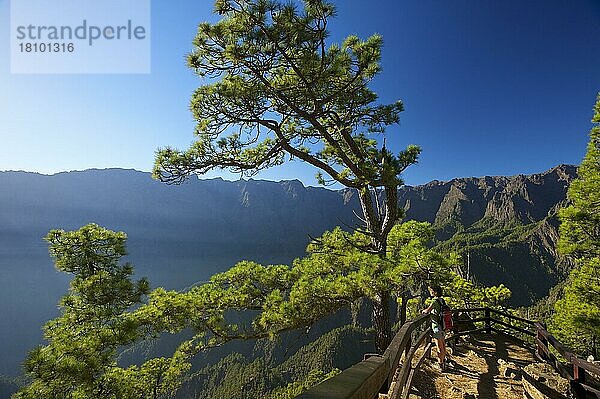 Parque Nacional de la Caldera de Taburiente am Mirador de Las Chozas  La Palma  Kanaren  Spanien  Europa