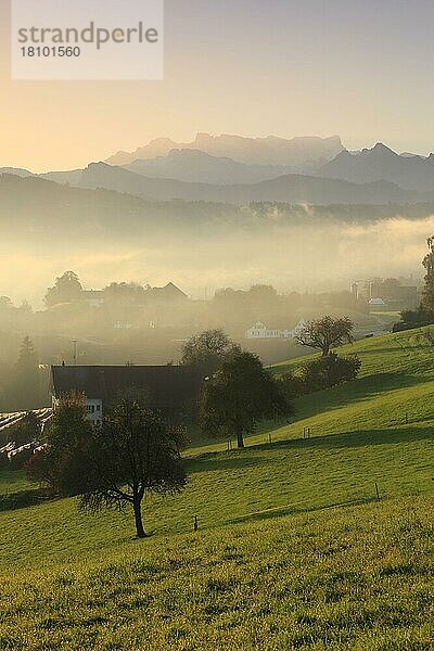 Wädenswil  Glärnisch  Glarner Alpen  Schweiz  Wädenswil  Glärnisch  Europa
