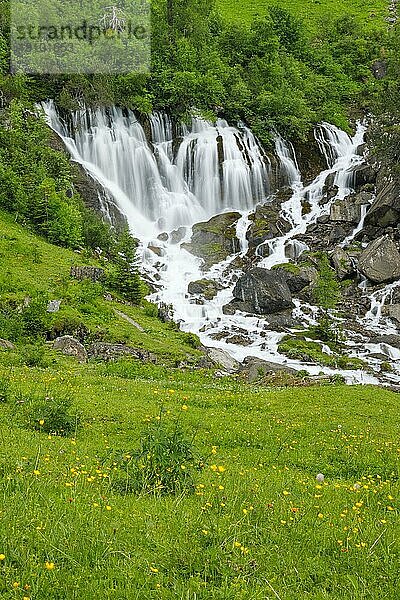 Sieben Brunnen  Simmenquelle  Simmental  Bern  Berner Oberland  Schweiz  Europa