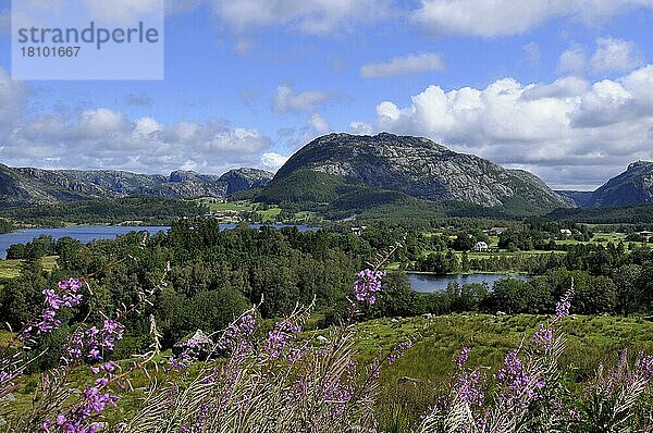 Berge  See  bei Lyngdal  Vest-Agder  Norwegen  Europa