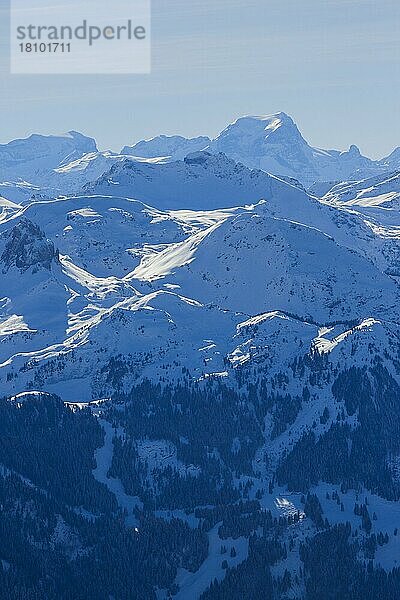 Tödi und Glarner Alpen  Schweiz  Europa