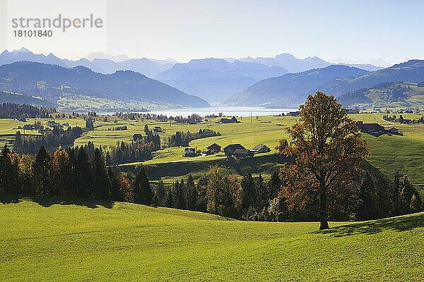 Einsiedeln  Großer Mythen  Kleiner Mythen  Sihlsee  Blick vom Etzel  Zentralschweizer Alpen  Schwyz  Schweiz  Europa