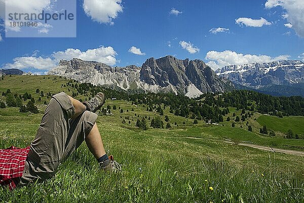 Alm auf der Seceda  Grödnertal  Dolomiten  Trentino Südtirol  Italien  Europa