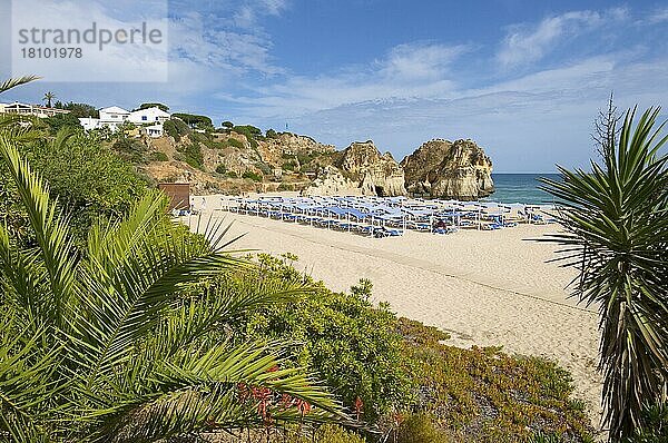 Strand bei Alvor  Algarve  Portugal  Europa