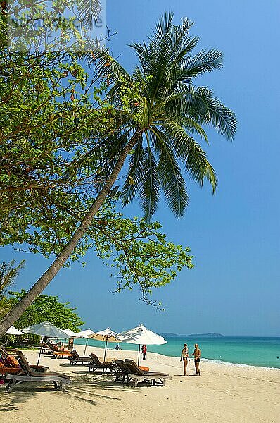 Chaweng Beach  Insel Ko Samui  Thailand  Südthailand  Palmenstrand  Palmen  Asien