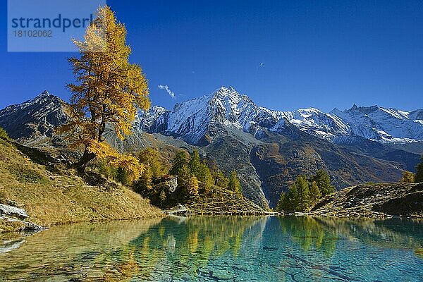 Lac Bleu  Grande Dent de Veisivi  Dent de Perroc  Aiguille de la Tsa  Wallis  Schweiz  Europa