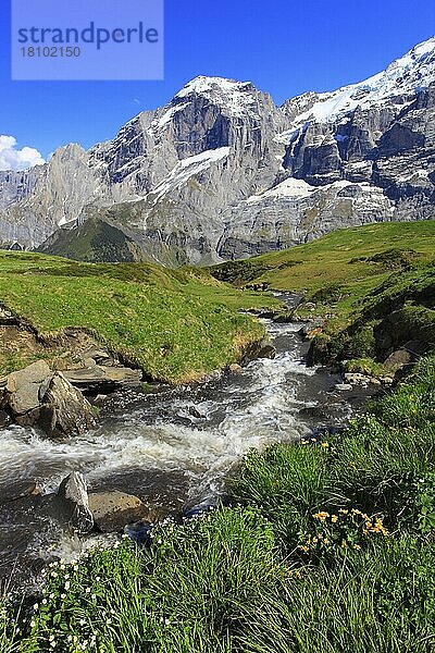 Roselauital  Wellhorn  Berner Oberland  Schweiz  Europa