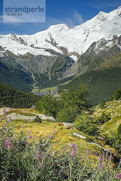 Alphubel  4206m  Täschhorn  4491m  Saas Fee  Wallis  Schweiz  Täschhorn  Europa