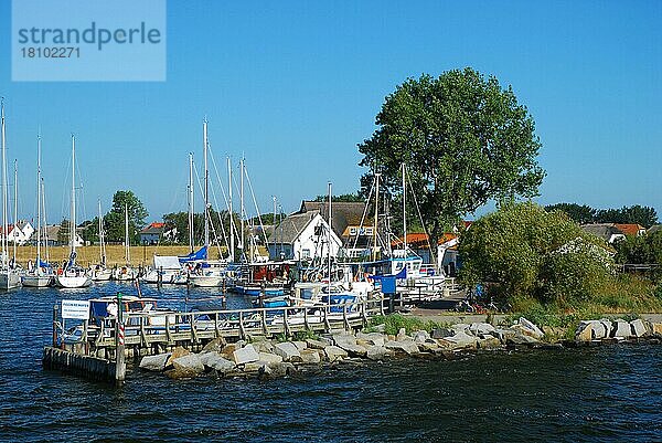 Ostsee  Ostseeinsel  Hiddensee  Hafen  Kloster  Mecklenburg-Vorpommern  Deutschland  Europa