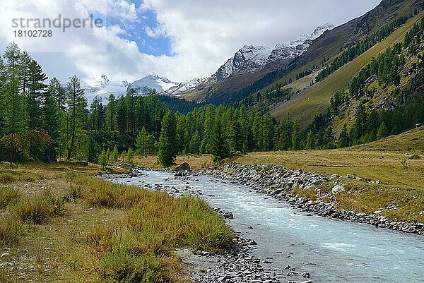 Val Roseg mit Fluss Ova da Roseg  Pontresina  Engadin  Kanton Graubünden  Schweiz  Europa