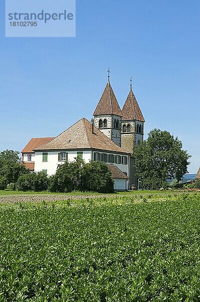 St Peter und Paul Kirche auf der Insel Reichenau  Bodensee  Baden-Württemberg  Deutschland  Europa