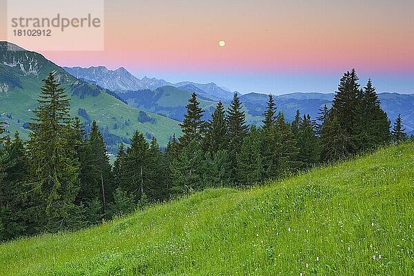 Schweizer Voralpen am Gurnigelpass  Bern  Schweiz  Europa