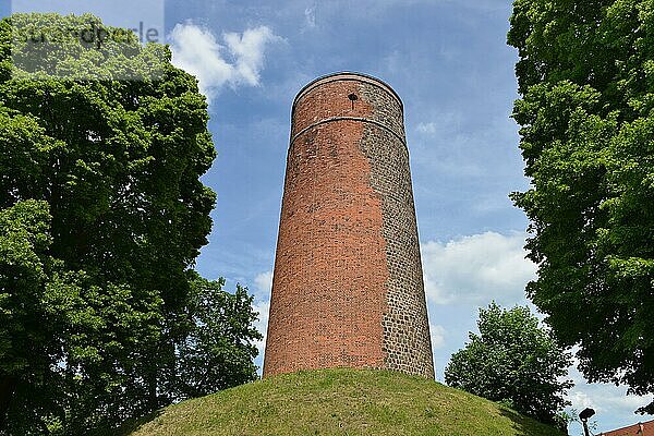 Bergfried  Burg Eisenhardt  Bad Belzig  Brandenburg  Deutschland  Europa