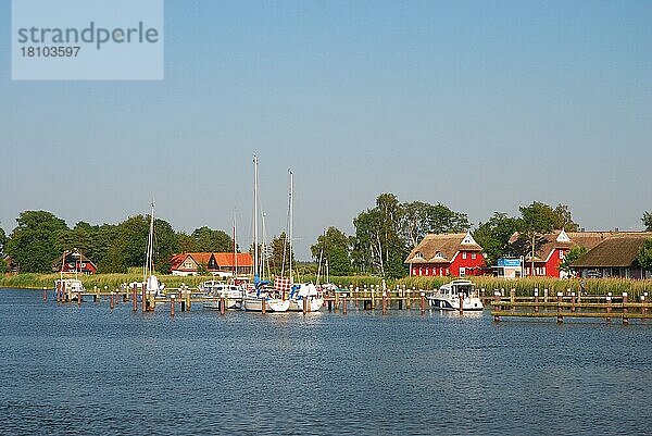 Seenlandschaft  Bodden  Segelhafen  Wohnhäuser  Prerow  Mecklenburg-Vorpommern  Deutschland  Europa