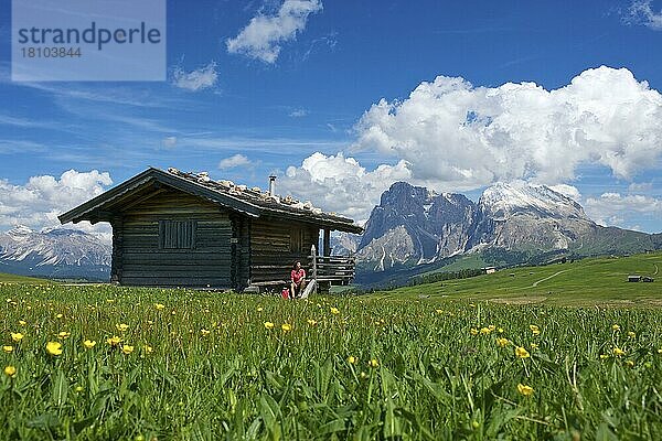 Almhütten auf der Seiser Alm mit Plattkofel und Langkofel  Dolomiten  Trentino Südtirol  Italien  Europa