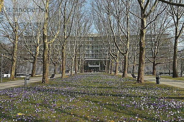 Krankenhaus 'Benjamin Franklin'  Hindenburgdamm  Steglitz  Berlin  Deutschland  Europa