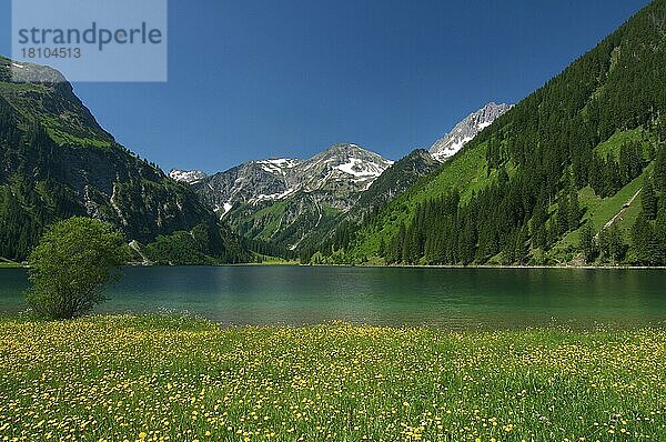 Vilsalpsee  Naturschutzgebiet Vilsalpsee  Tannheimer Tal  Tirol  Österreich  Europa