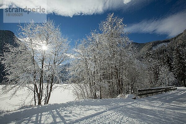 Winter in den Bergen  Neukirchen  Salzburger Land  Österreich  Europa