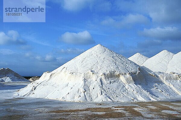 Meersalz in den Salines de Llevant bei Es Trenc  Salz  Salzproduktion  Mallorca  Balearen  Spanien  Europa