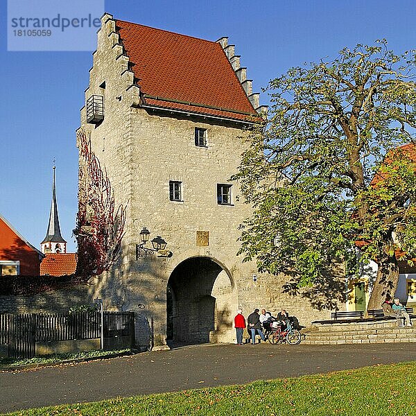 Maintor  errichtet 1477  südliches Haupttor  Frickenhausen  Unterfranken  Bayern  Deutschland  Europa