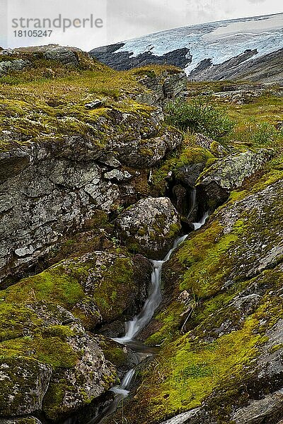 Wasserfall  Geiranger  Trondelag  Norwegen  Europa