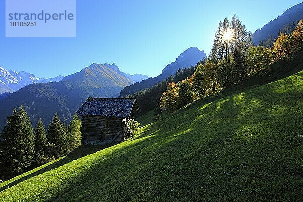 Sulwald  Lauterbrunnental  Berner Oberland  Schweiz  Europa