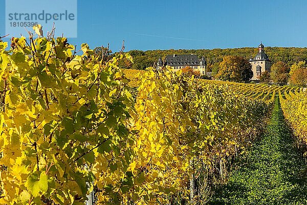 Herbstfarben  Schloss Vollrads  Rheingau  Hessen  Deutschland  Europa