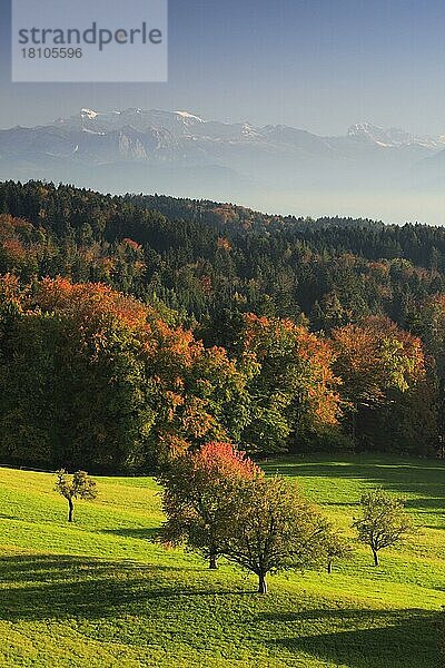 Rigi  Blick von Hittnau  Zürcher Oberland  Schweiz  Zürcher Oberland  Europa