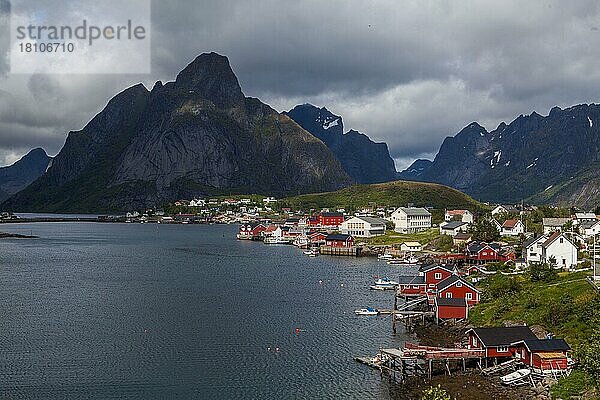 Hafen  Reine  Lofoten  Nordland  Norwegen  Europa