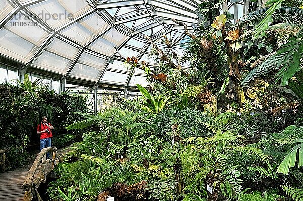 Tropenhaus  Botanischer Garten  Dahlem  Berlin  Deutschland  Europa