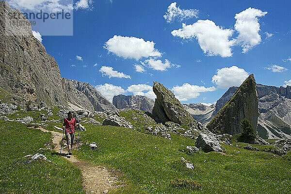 Malga-Alm unterhalb der Geislerspitzen  Seceda  Grödnertal  Dolomiten  Trentino Südtirol  Italien  Europa