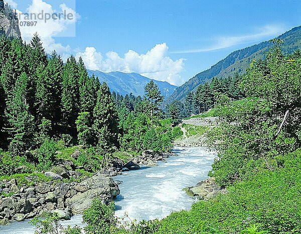 Sind-Fluss  Kashmirtal  Kashmir  Kaschmir  Kaschmirtal  Indien  Asien