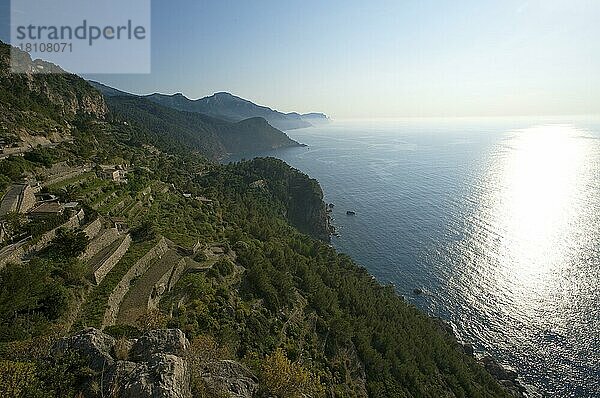 Terrassen bei Banyalbufar  Mallorca  Mallorca  Balearische Inseln  Spanien  Europa